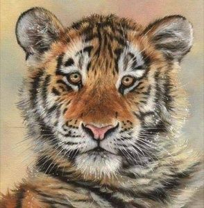 Meet your Posher, Sonya